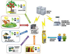 物聯網技術賦能產業升級 防偽、食品安全與新材料研發的革新應用